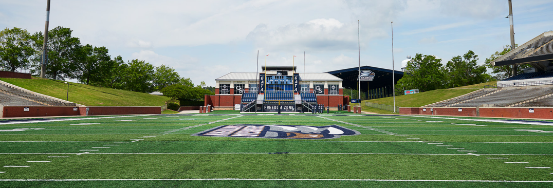 GSU.png